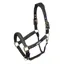 Velociti Lusso Padded Leather Headcollar in Black
