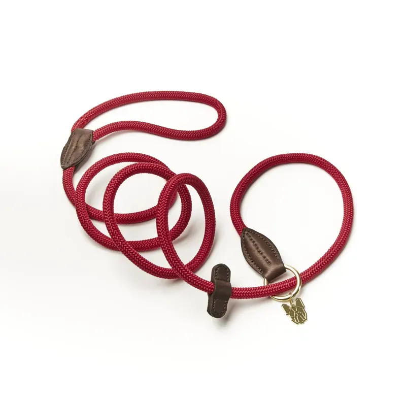 Digby and Fox Fine Rope Slip Lead in Red