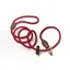 Digby and Fox Fine Rope Slip Lead in Red