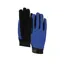 Aubrion Team Winter Riding Gloves in Blue