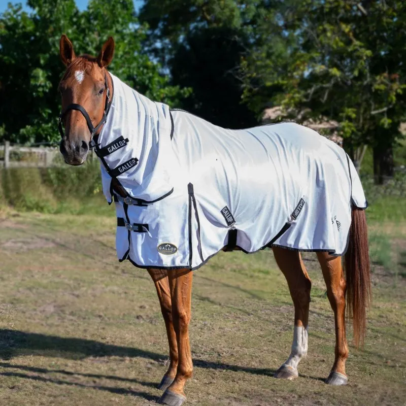 Gallop Classic Fly Combo Rug in White-1