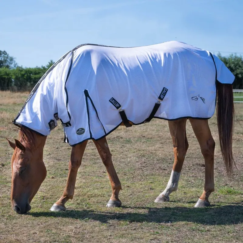 Gallop Classic Fly Combo Rug in White-2