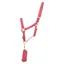 Hy Rose Gold Head Collar And Lead Rope in Blush Pink/Rose Gold