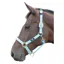 Hy Deluxe Padded Head Collar in Bright Blue