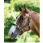 Shires Pro Adjustable Headcollar In Black