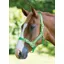 Shires Pro Adjustable Headcollar In Green