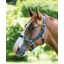Shires Pro Adjustable Headcollar In Blue