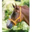 Shires Pro Adjustable Headcollar In Orange