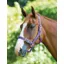Shires Pro Adjustable Headcollar In Purple