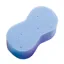 Lincoln Dogbone Sponge in Blue