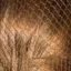 Bitz Twin Pack Standard Hairnets in Blonde