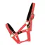 Hy Fieldsafe Head Collar in Red